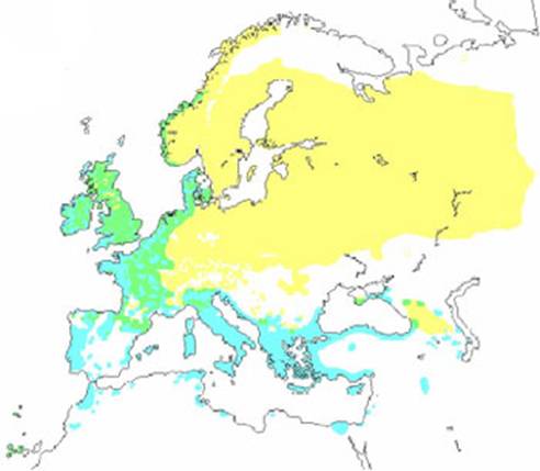 skovsneppens udbredelsesomrde